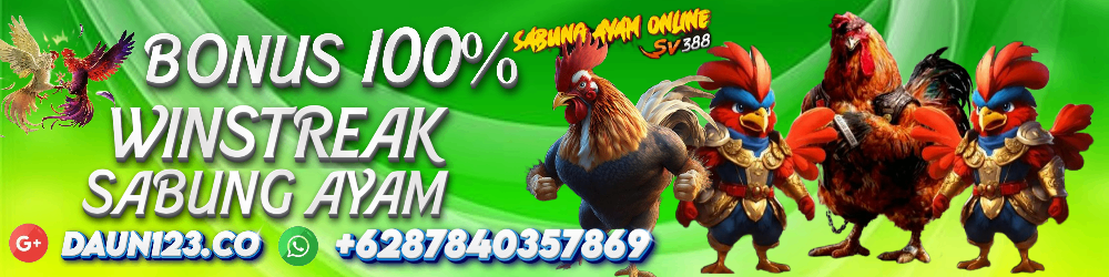 BONUS SABUNG AYAM